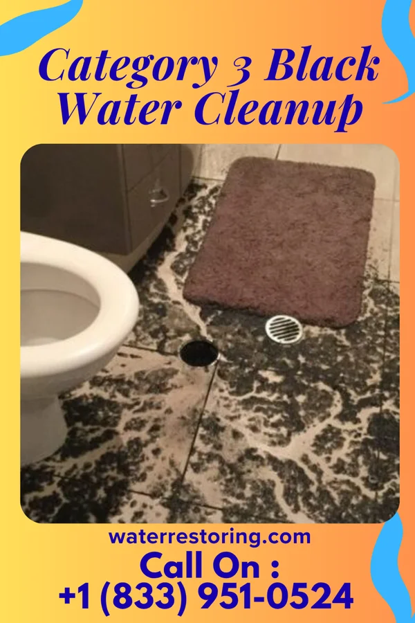 Category 3 Black Water Cleanup in Perkasie, PA