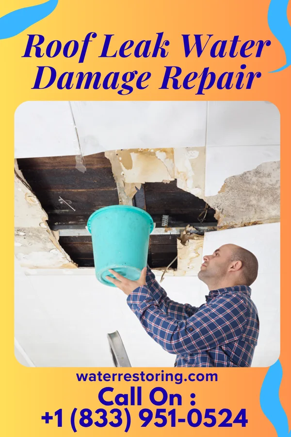 Roof Leak Water Damage Repair in Perkasie, PA
