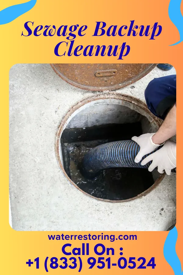 Sewage Backup Cleanup in Perkasie, PA