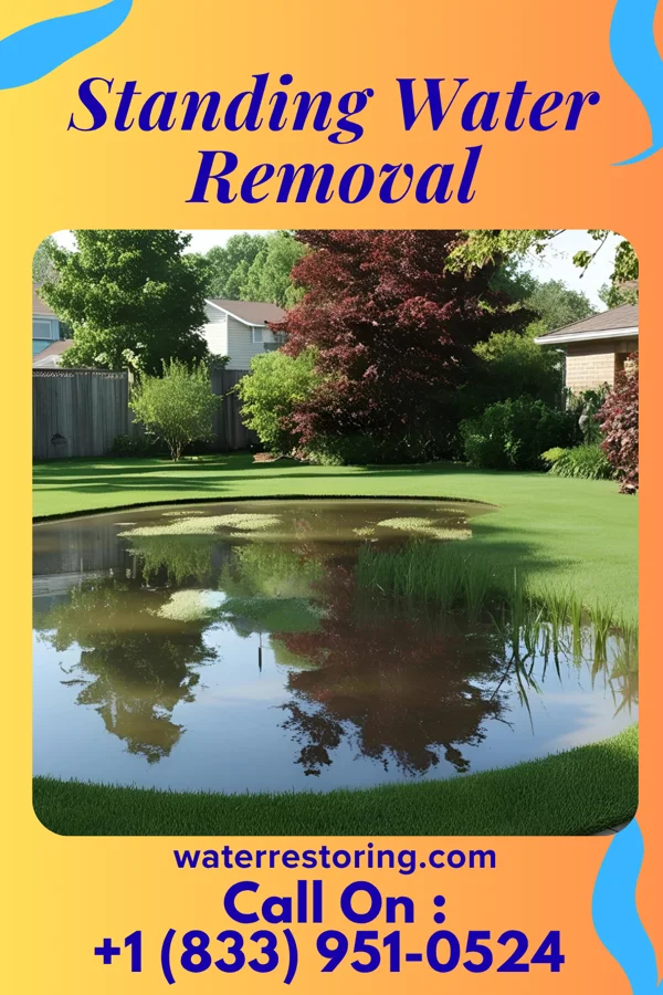 Standing Water Removal in Perkasie, PA